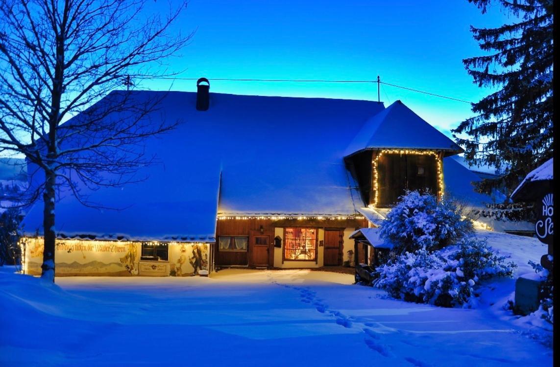 Echtes Schwarzwaldhaus - Traditionell & Modern Бернау-ім-Шварцвальд Екстер'єр фото